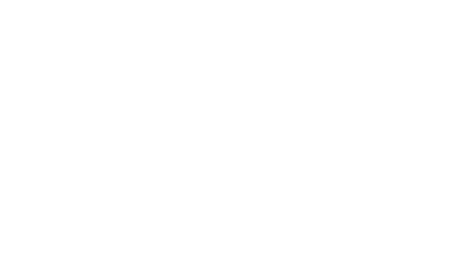 Shopify Certified Partner