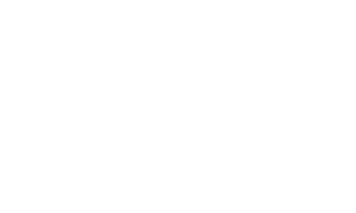 TikTok Ads GMV Max Certified