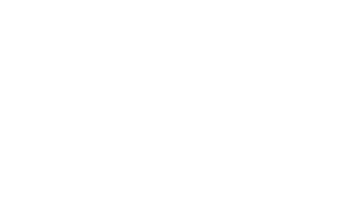TikTok Shop Certified Partner